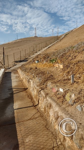 Beginning of the path up the Morro de Arica