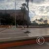 Plaza Vicuña Mackenna at Av. Pedro Montt y Calle 7 de Junio y Calle San Marcos