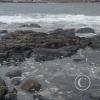 ex-Isla del Alacran (29)
