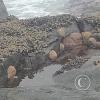 ex-Isla del Alacran (31)