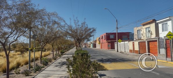 Calle John Bradford
