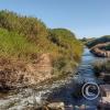 Rio Loa (10)