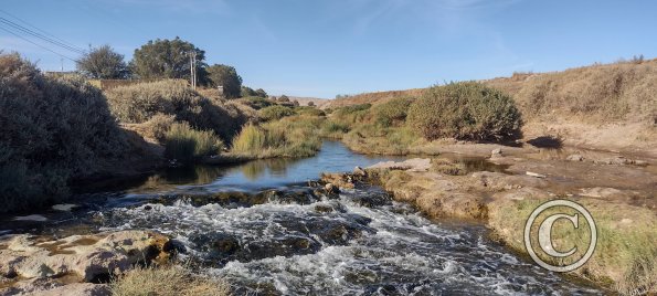 Rio Loa (9)