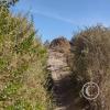 Rio Loa trail