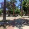 Plaza de Armas (6)