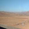 The Atacama desert between Taltal and Chanaral (8)