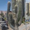Parque Cavancha at Playa Cavancha (2)