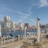 Port of Iquique (6)