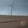 Atacama desert between Calama and San Pedro (9)