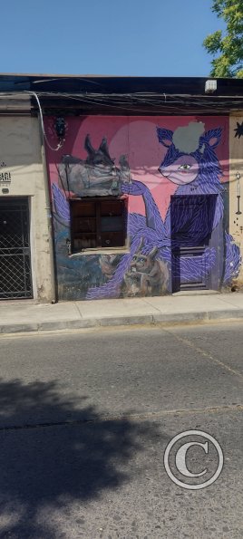 Mural on Esperanza near Catedral (2)