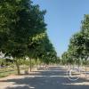 Parque Bicentenario de Cerrillos, former airport, Av. Pedro Aguirre Cerda y Av. Departamental