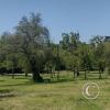 Parque O'Higgins at Av. Gen. Randizzoni y Av. Beaucheff y Av. Viel (12)