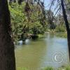 Parque O'Higgins at Av. Gen. Randizzoni y Av. Beaucheff y Av. Viel (18)