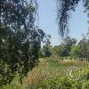 Parque O'Higgins at Av. Gen. Randizzoni y Av. Beaucheff y Av. Viel (2)