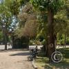 Parque O'Higgins at Av. Gen. Randizzoni y Av. Beaucheff y Av. Viel (20)