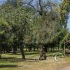 Parque O'Higgins at Av. Gen. Randizzoni y Av. Beaucheff y Av. Viel (21)