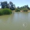 Parque O'Higgins at Av. Gen. Randizzoni y Av. Beaucheff y Av. Viel