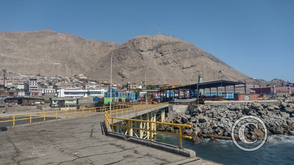View from the Fisherman's Terminal of the city (3)