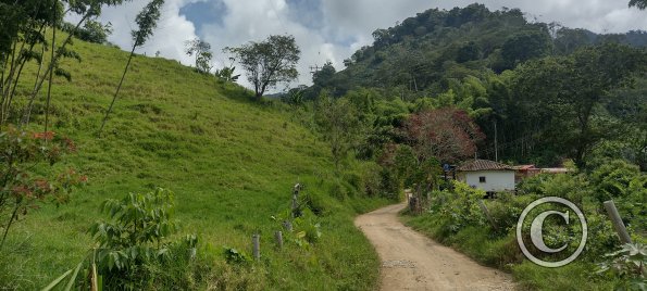 IMG_20231225_110025260_HDR