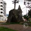 IMG-20201129-WA0009