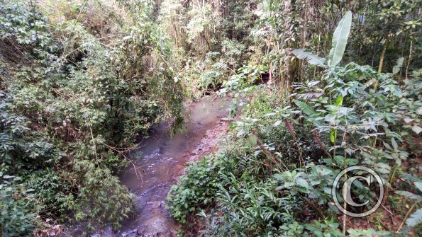IMG-20201129-WA0041