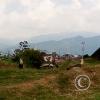 IMG_20201212_134341