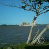 IMG-20140302-WA0003