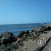 IMG-20140302-WA0109