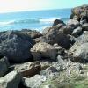 IMG-20140302-WA0112