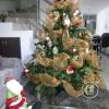 Exif_JPEG_420