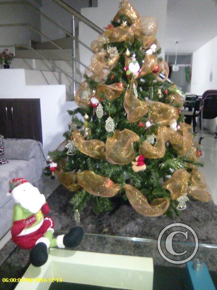 Exif_JPEG_420