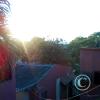 IMG_20181201_171702