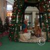 IMG_20190109_192230