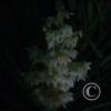 IMG_20190318_202537
