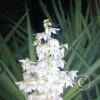 IMG_20190318_202626