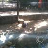 2013-12-25 12.48.55