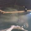 IMG00272