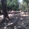 IMG00277