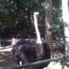 IMG00284