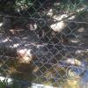 img00244_22321474855_o