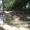 img00245_22308523202_o