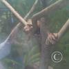 img00260_22321555125_o