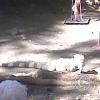 img00283_21698892744_o