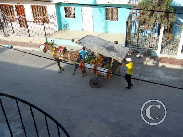 fruit-vendor-3-large_18774045704_o