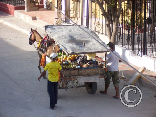 fruit-vendor-4-medium_19400211981_o