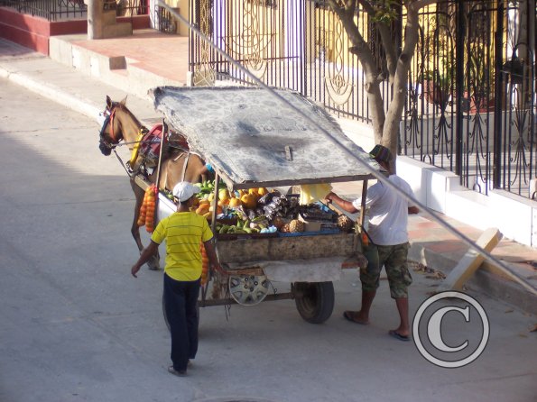 fruit-vendor-4_18773402104_o