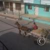 horse-drawn-wagon-in-front-of-my-apartment-large_19208971700_o