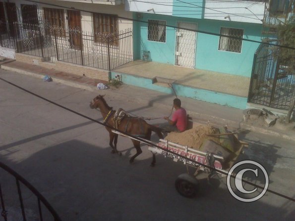horse-drawn-wagon-in-front-of-my-apartment-large_19208971700_o