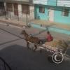 horse-drawn-wagon-in-front-of-my-apartment-medium_18775475093_o