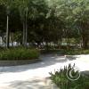 img00156_19396425155_o